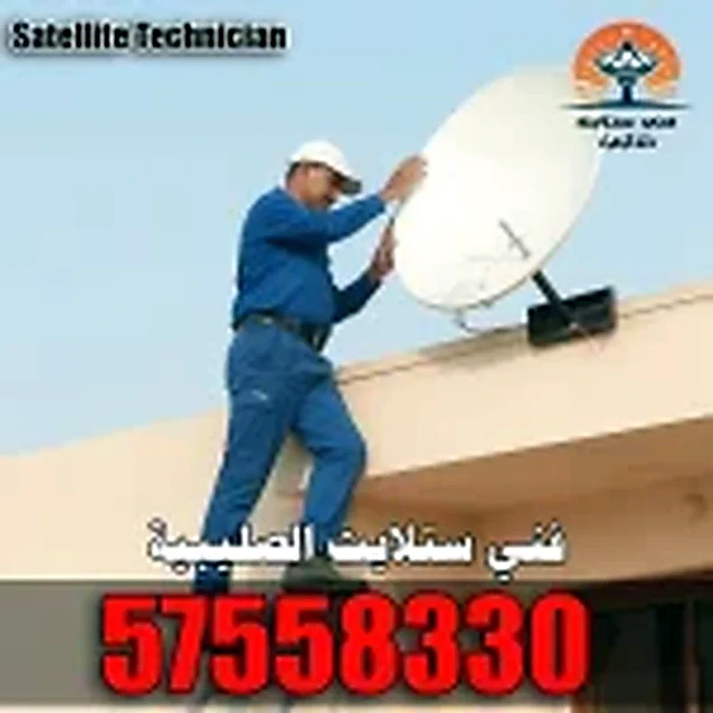 فني ستلايت الصليبية